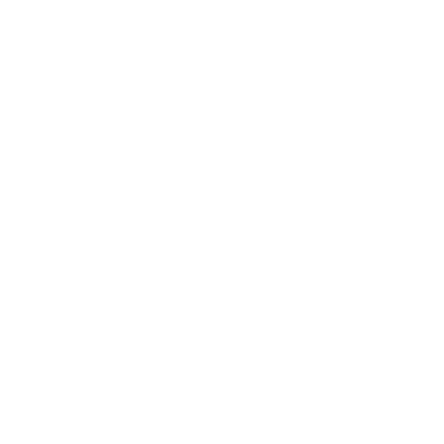 MACE Bird animation